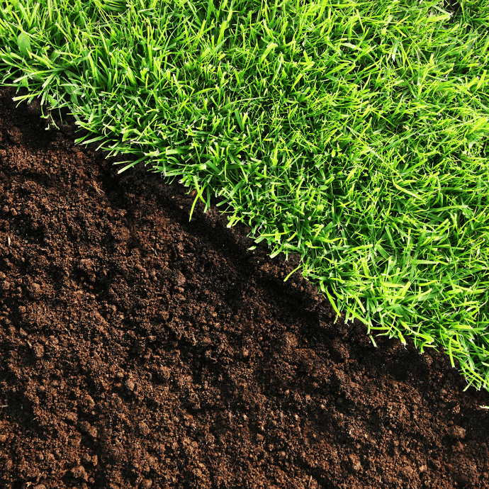 Grass & Soil