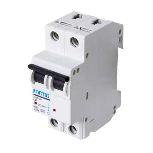 Proteus 63A Double Pole 6kA C Curve MCB